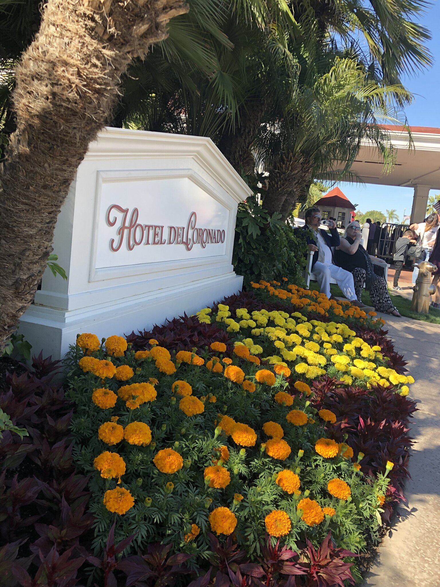 Historic resort details documented in 2019