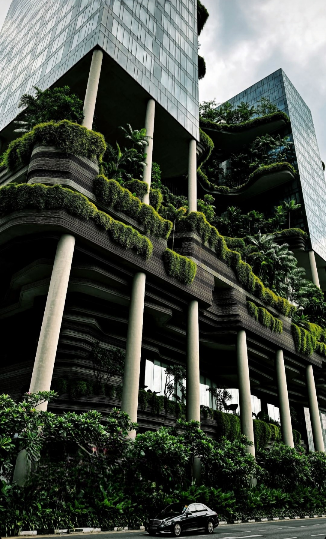 Authentic street view of the green high-rise in 2019
