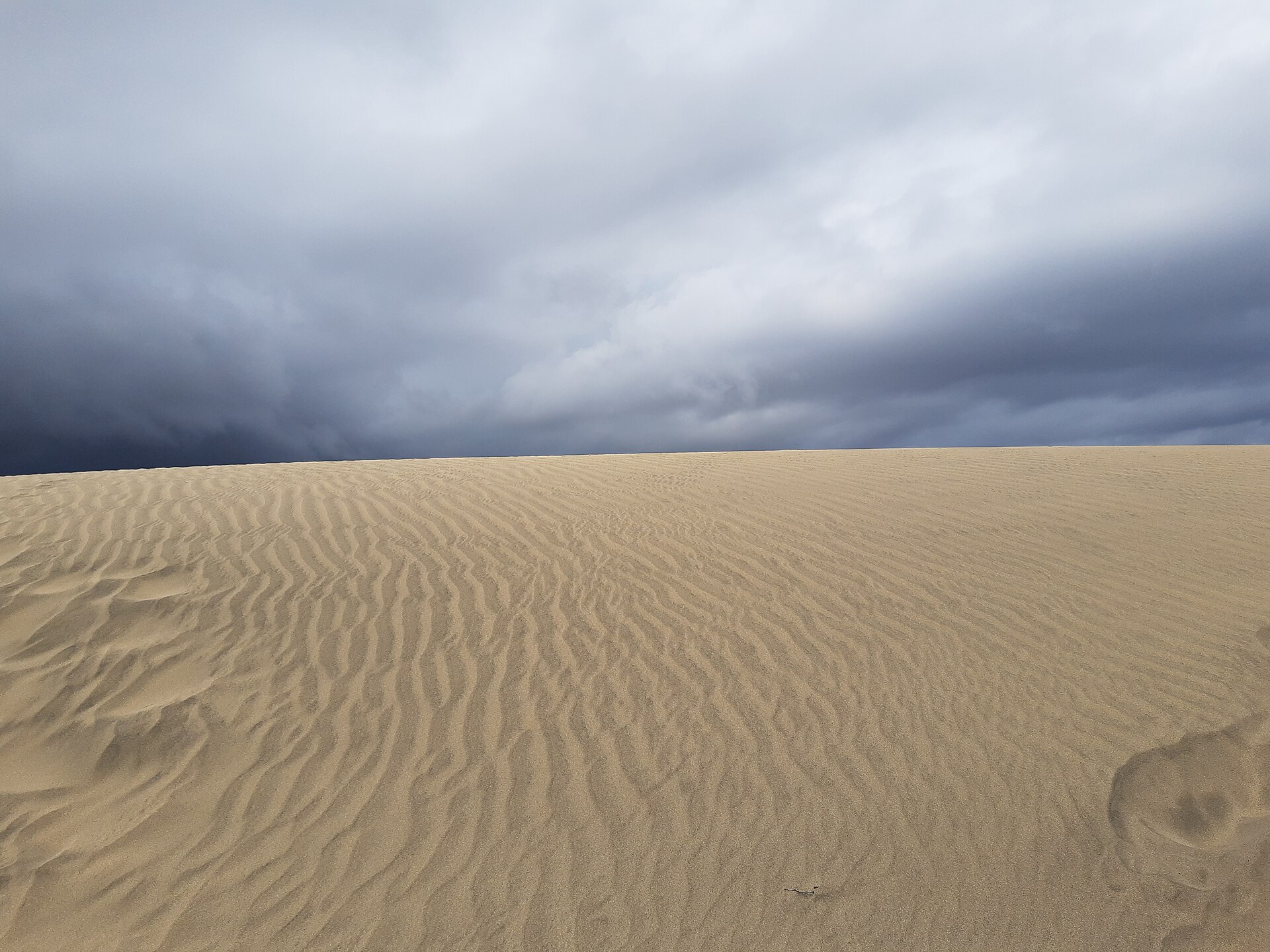 Protected dune environment near Playa del Inglés, not hotel premises